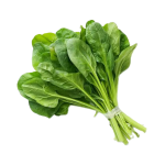 Pinaatti