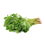Purslane