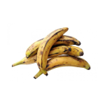 Yellow Plantain