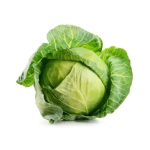 Cabbage